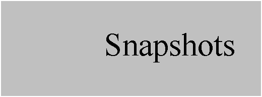 Text Box: Snapshots
